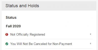 Status and Holds Fall 2020 - You Will Not Be Canceled for Non-Payment